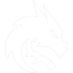 Buy Dota 2 sticker Team Spirit Team Sticker - TI 2025 skin