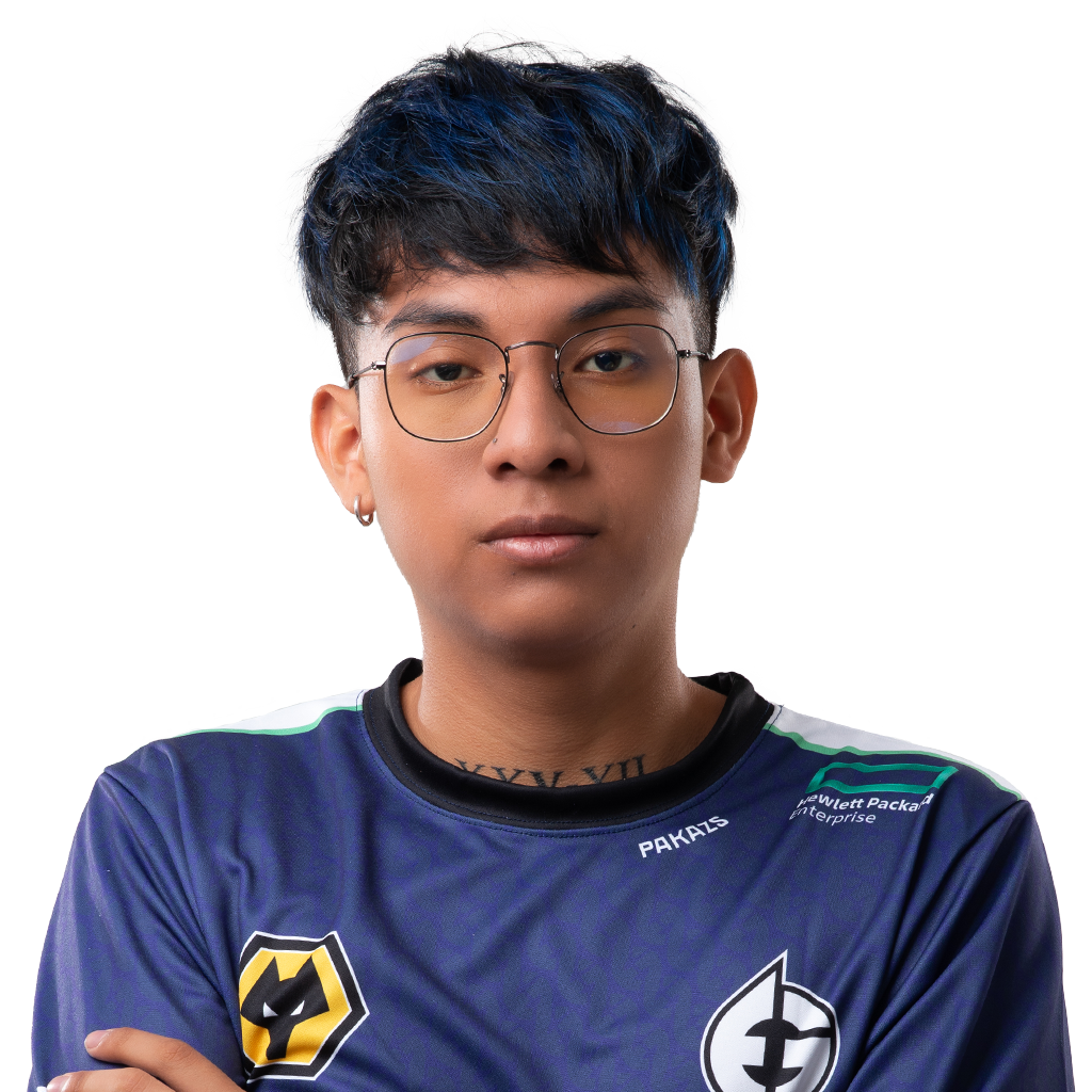Buy Dota 2  Pakazs Player Sticker - TI 2023 skin