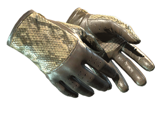 Buy CS2 gloves ★ Driver Gloves | Diamondback (Well-Worn) skin