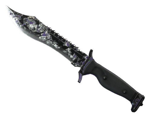 Buy CS2 knife ★ StatTrak™ Bowie Knife | Freehand (Battle-Scarred) skin