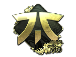 Buy CS2 sticker Sticker | Fnatic (Gold) | Rio 2022 skin