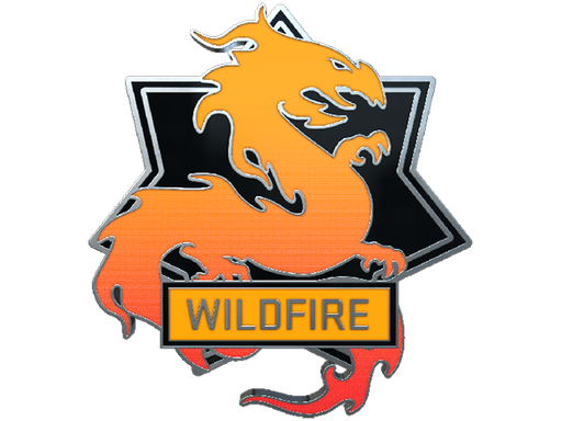 Buy CS2 collectible Wildfire Pin skin