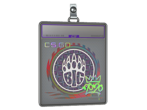 Buy CS2 charm Sticker Slab | BIG (Holo) | 2020 RMR skin