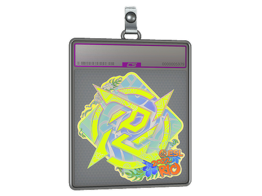 Buy CS2 charm Sticker Slab | Ninjas in Pyjamas (Holo) | Rio 2022 skin