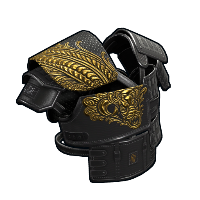Buy Rust roadsign jacket Dragon Rage Vest skin