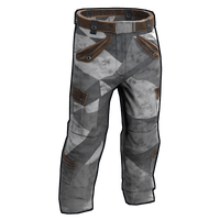 Buy Rust clothing Urban Ice Pants skin