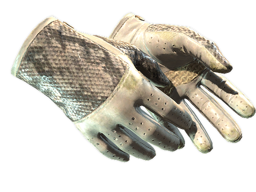 Buy CS2 gloves ★ Driver Gloves | King Snake (Well-Worn) skin