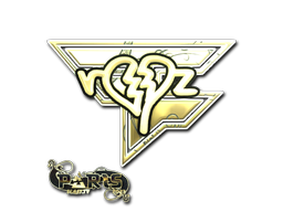 Buy CS2 sticker Sticker | ropz (Gold) | Paris 2023 skin