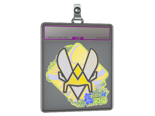 Buy CS2 charm Sticker Slab | Vitality (Holo) | Rio 2022 skin