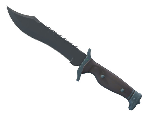 Buy CS2 knife ★ StatTrak™ Bowie Knife | Night (Minimal Wear) skin