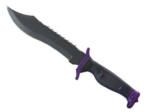 Buy CS2 knife ★ StatTrak™ Bowie Knife | Ultraviolet (Field-Tested) skin