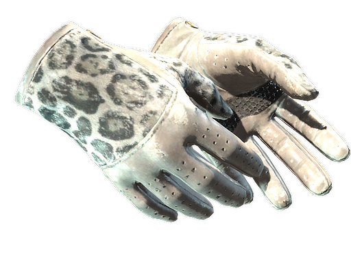 Buy CS2 gloves ★ Driver Gloves | Snow Leopard (Well-Worn) skin