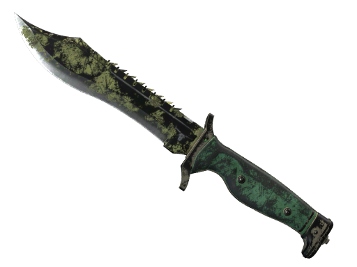 Buy CS2 knife ★ Bowie Knife | Boreal Forest (Battle-Scarred) skin