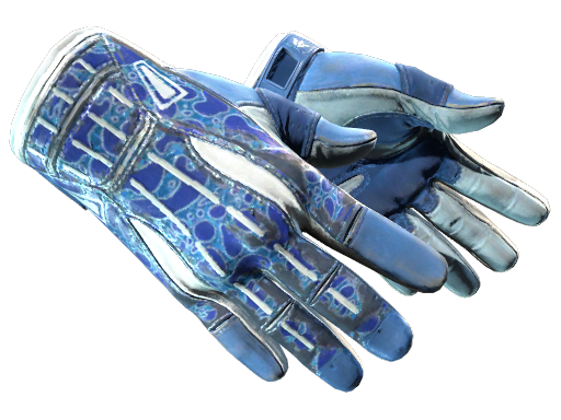 Buy CS2 gloves ★ Sport Gloves | Amphibious (Field-Tested) skin