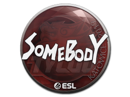 Buy CS2 sticker Sticker | somebody | Katowice 2019 skin