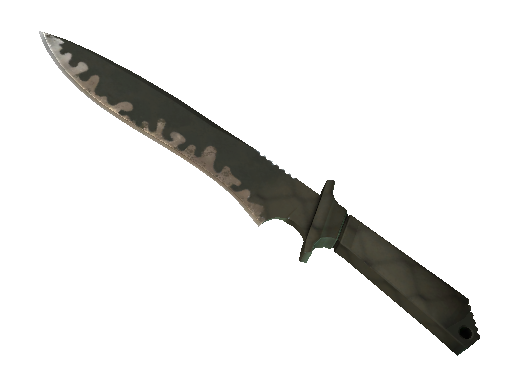 Buy CS2 knife ★ StatTrak™ Classic Knife | Safari Mesh (Field-Tested) skin