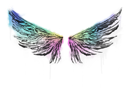 Buy CS2 graffiti Sealed Graffiti | Wings skin