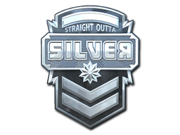 Buy CS2 sticker Sticker | Silver (Foil) skin