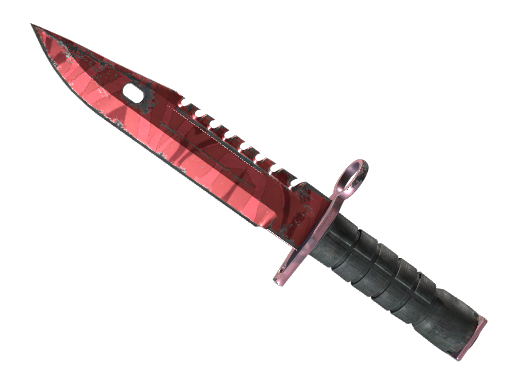 Buy CS2 knife ★ StatTrak™ M9 Bayonet | Slaughter (Field-Tested) skin
