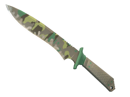 Buy CS2 knife ★ StatTrak™ Classic Knife | Boreal Forest (Well-Worn) skin
