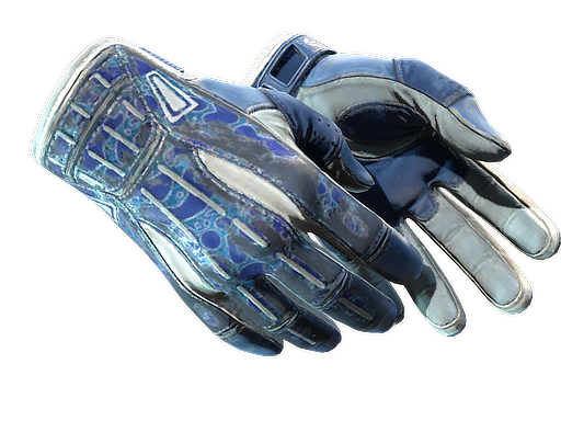 Buy CS2 gloves ★ Sport Gloves | Amphibious (Battle-Scarred) skin