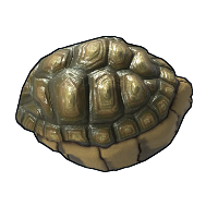 Buy Rust rock Tortoise Rock skin