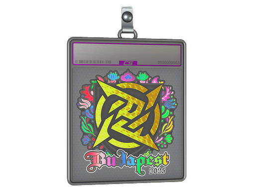 Buy CS2 charm Sticker Slab | Ninjas in Pyjamas (Holo) | Budapest 2025 skin