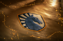 Buy Dota 2 loading screen International 2026 Team Loading Screen - Team Liquid skin