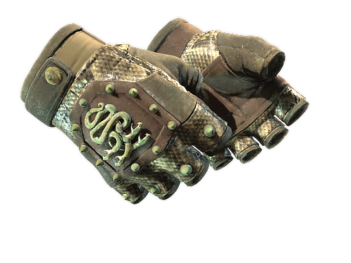 Buy CS2 gloves ★ Hydra Gloves | Rattler (Field-Tested) skin