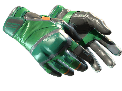 Buy CS2 gloves ★ Moto Gloves | Turtle (Factory New) skin