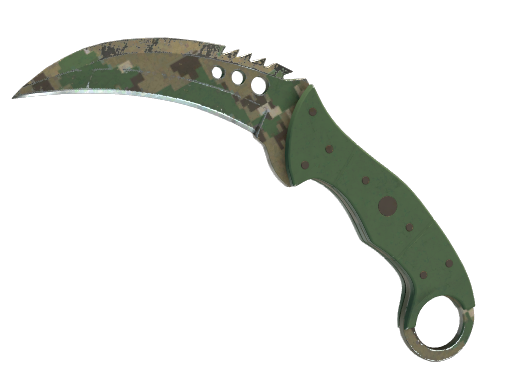 Buy CS2 knife ★ Talon Knife | Forest DDPAT (Field-Tested) skin