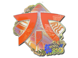 Buy CS2 sticker Sticker | Fnatic (Holo) | Rio 2022 skin