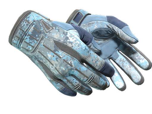 Buy CS2 gloves ★ Sport Gloves | Frosty (Minimal Wear) skin