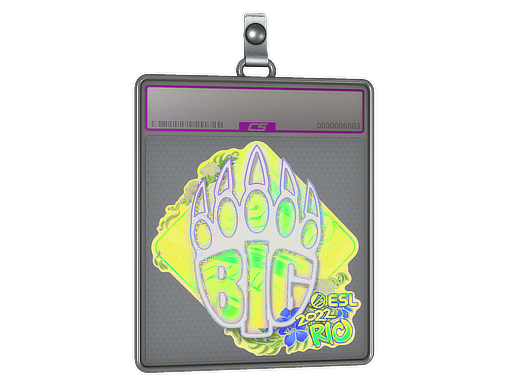 Buy CS2 charm Sticker Slab | BIG (Holo) | Rio 2022 skin