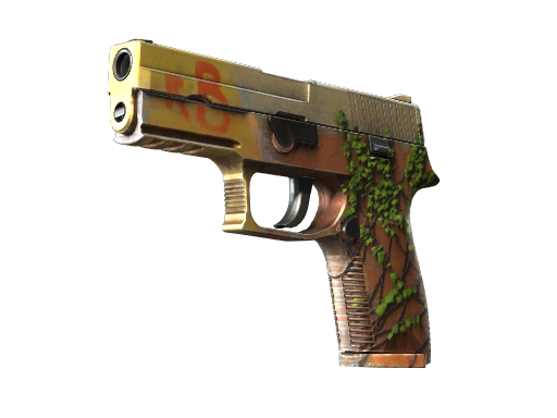 Buy CS2 pistol StatTrak™ P250 | Inferno (Minimal Wear) skin