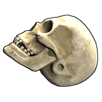 Buy Rust misc Skull skin