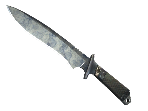 Buy CS2 knife ★ StatTrak™ Classic Knife | Stained (Well-Worn) skin