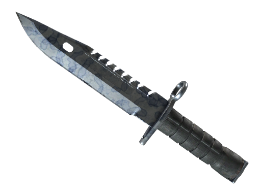 Buy CS2 knife ★ StatTrak™ M9 Bayonet | Stained (Minimal Wear) skin