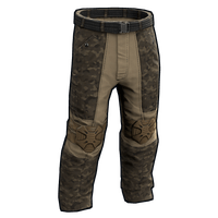 Buy Rust clothing Military Pants skin