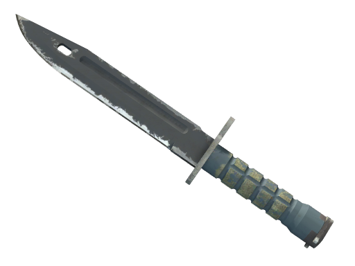 Buy CS2 knife ★ Bayonet | Night (Well-Worn) skin