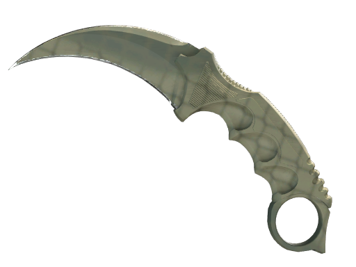 Buy CS2 knife ★ StatTrak™ Karambit | Safari Mesh (Minimal Wear) skin