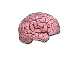 Buy CS2 sticker Sticker | CS On The Mind skin