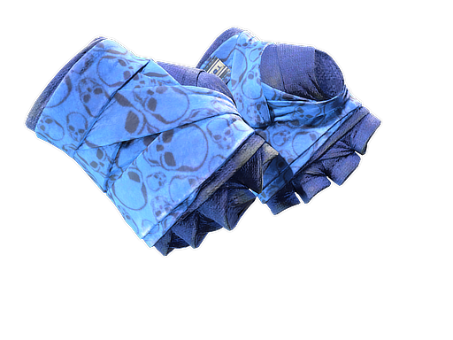 Buy CS2 gloves ★ Hand Wraps | Cobalt Skulls (Well-Worn) skin