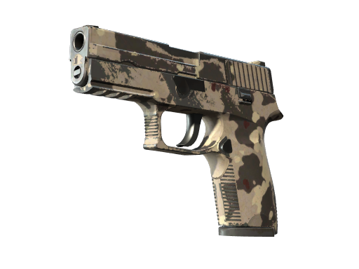 Buy CS2 pistol Souvenir P250 | Black & Tan (Field-Tested) skin