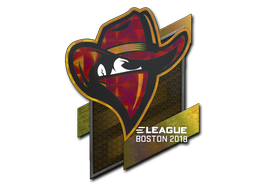 Buy CS2 sticker Sticker | Renegades (Holo) | Boston 2018 skin