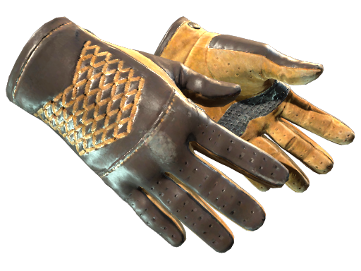 Buy CS2 gloves ★ Driver Gloves | Overtake (Field-Tested) skin