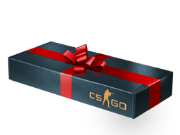 Buy CS2 gift Gift Package skin