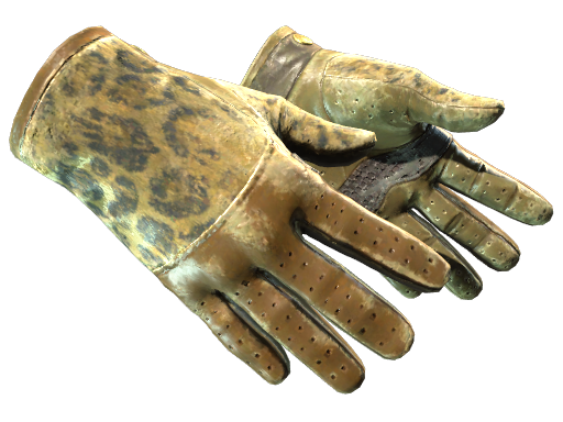 Buy CS2 gloves ★ Driver Gloves | Queen Jaguar (Battle-Scarred) skin