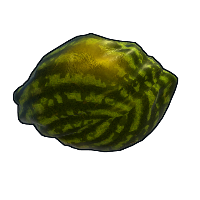 Buy Rust rock Ripe Watermelon skin