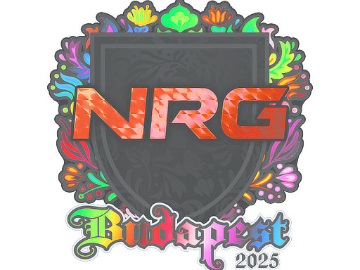 Buy CS2 sticker Sticker | NRG (Holo) | Budapest 2025 skin